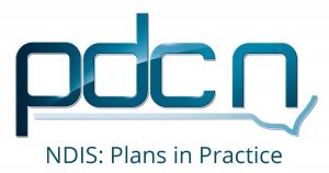 NDIS plans in practice